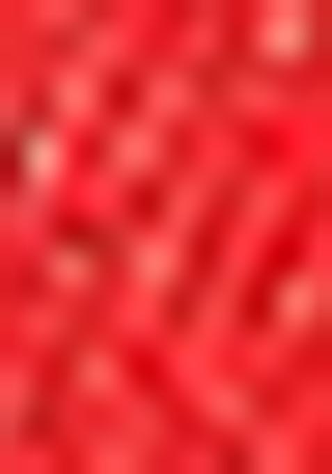 Red Embroidered Georgette Saree Set