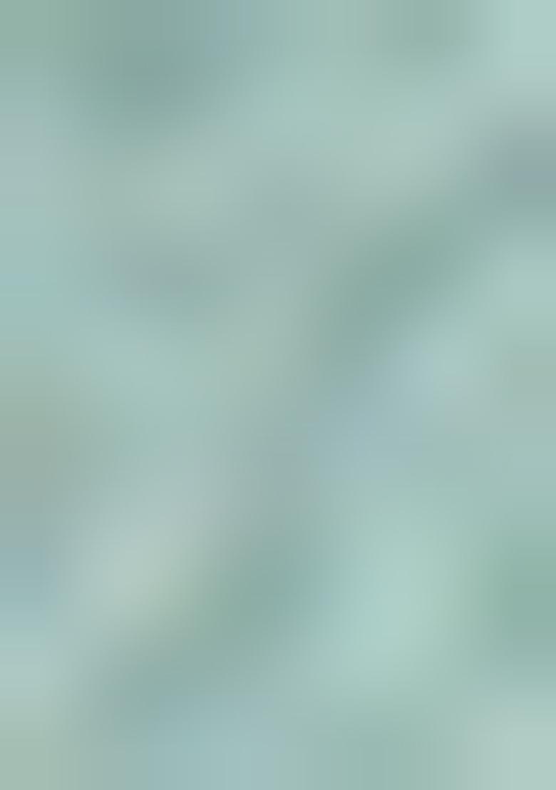 Sky Blue Weaving Dola Silk Saree Set