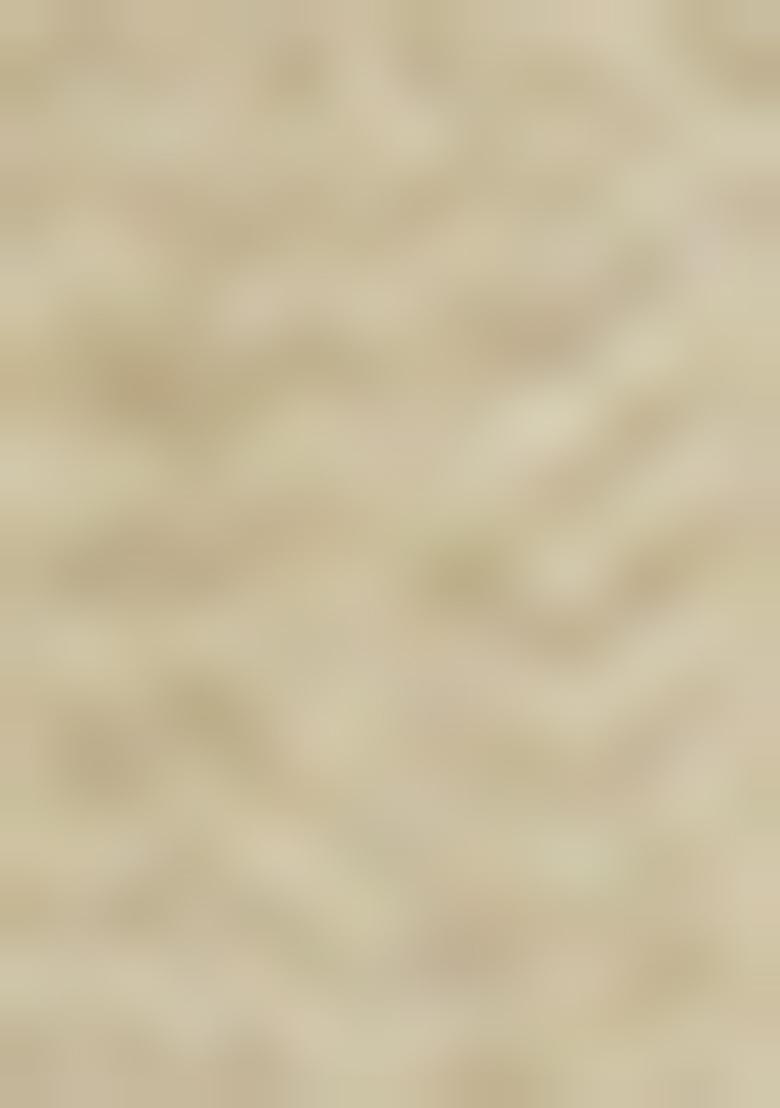 Off White Weaving Dola Silk Saree Set