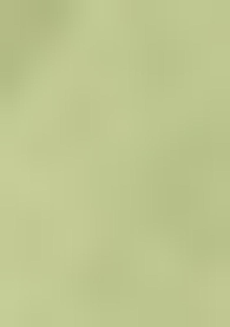 Pista Green Weaving Dola Silk Saree Set