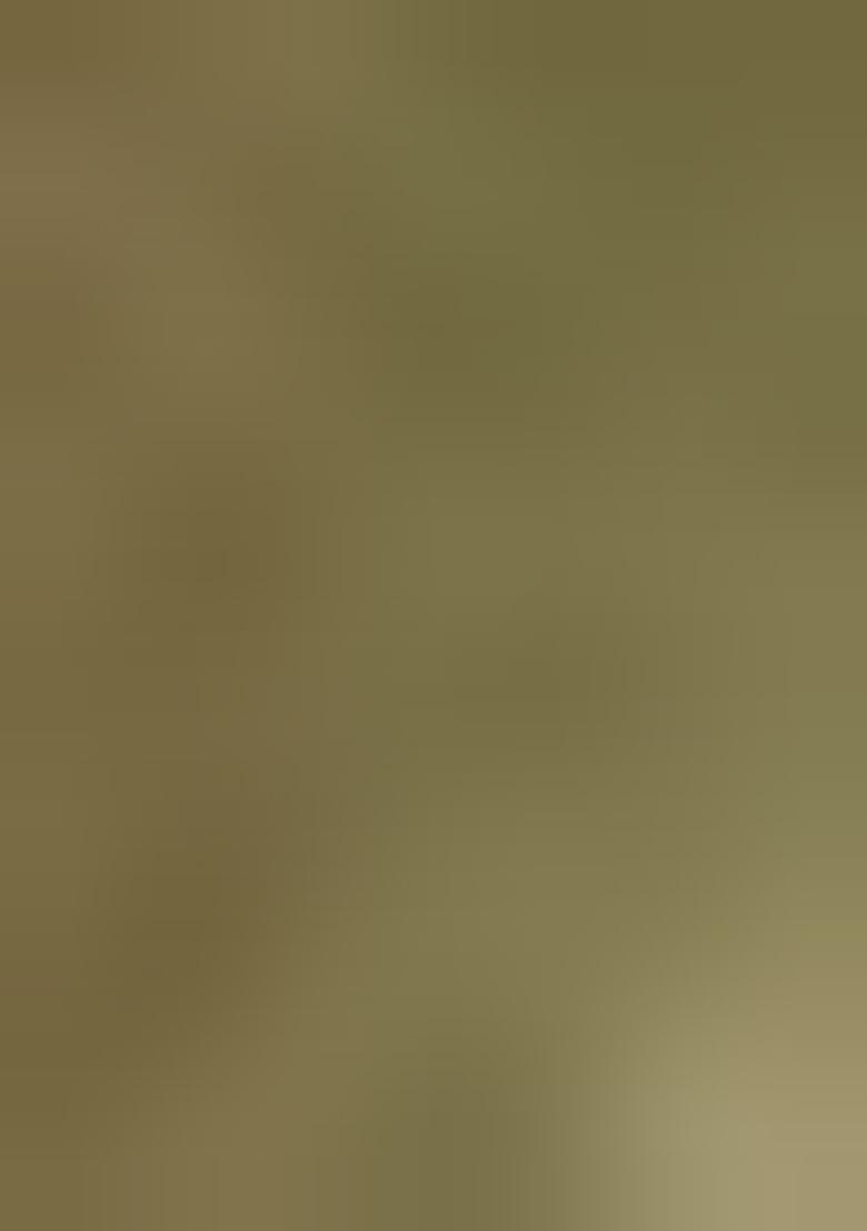 Sea Green Zari Embroidered Kanjivaram Silk Saree Set