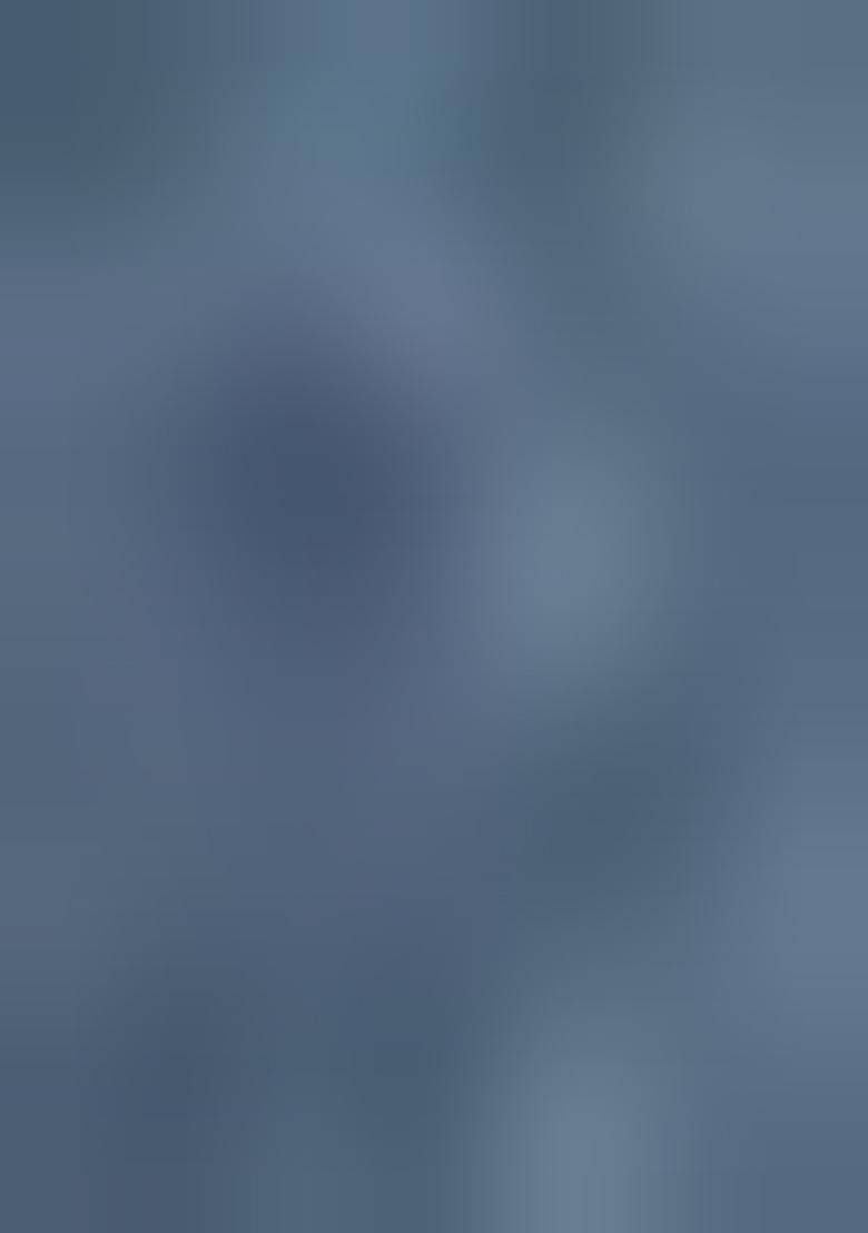 Grey Foil Print Silk Saree Set