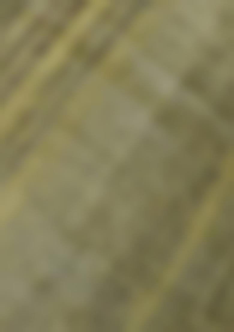 Green Zari Work Katan Silk Saree Set