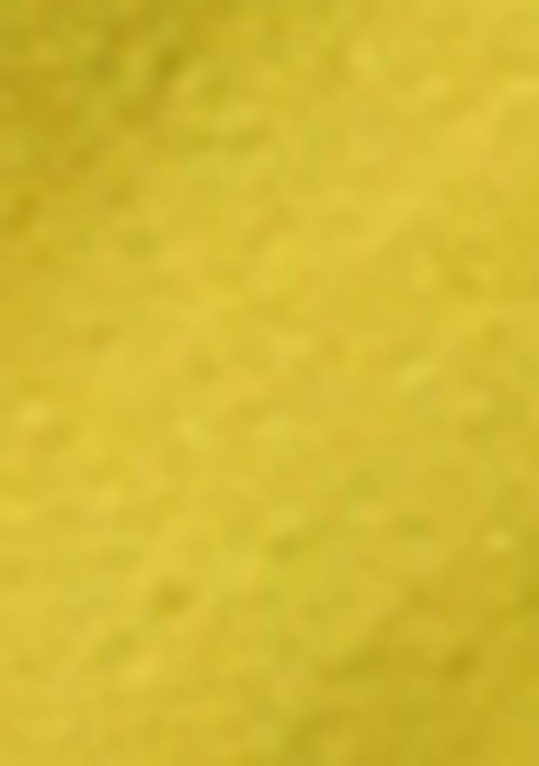 Pista Green Zari Embroidered Kanchi Silk Saree Set