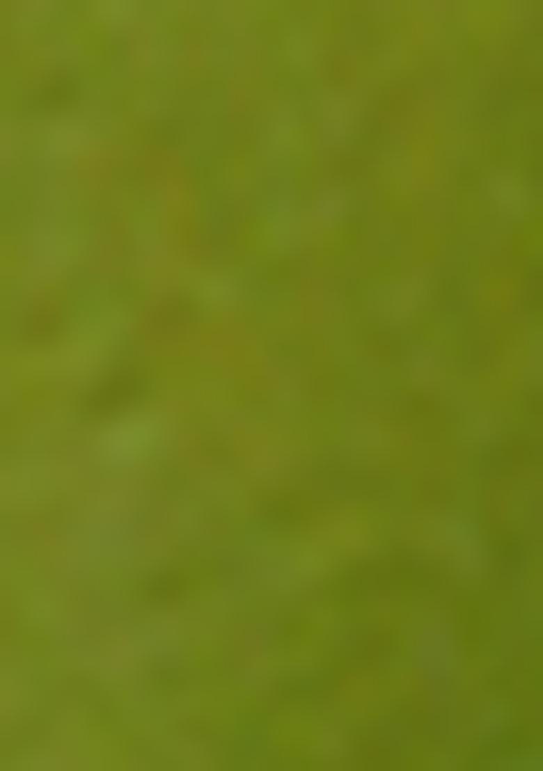 Mehendi Green Zari Embroidered Banarasi Silk Saree Set