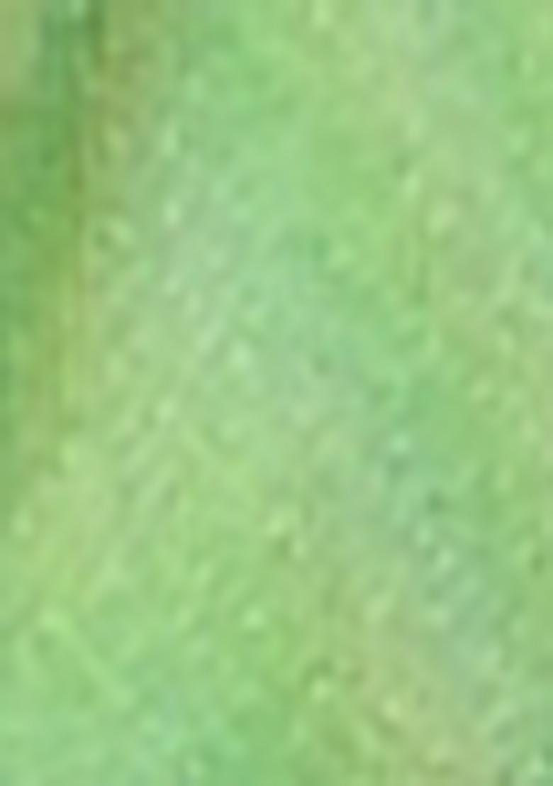 Pista Green Zari Embroidered Banarasi Silk Saree Set