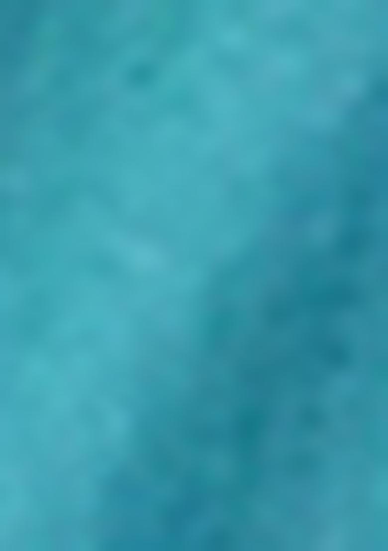 Rama Blue Zari Embroidered Banarasi Silk Saree Set