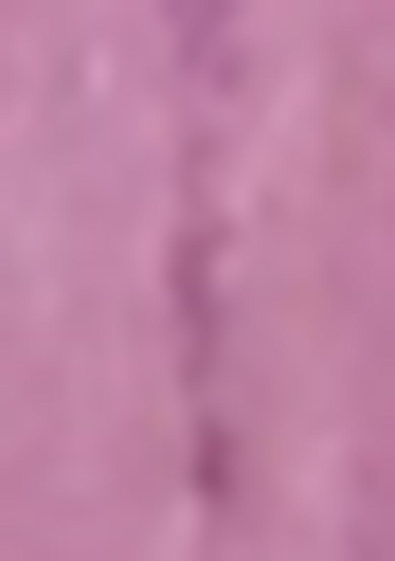 Purple Woven Tussar Silk Saree Set