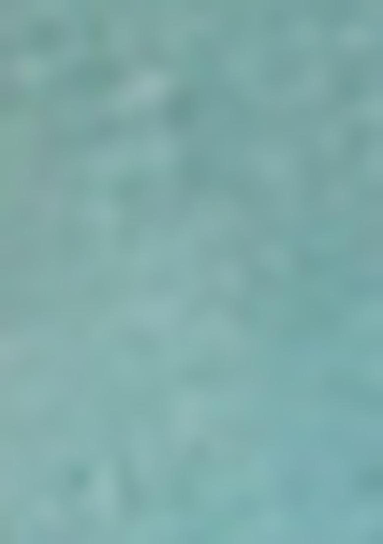 Rama Blue Woven Tussar Silk Saree Set