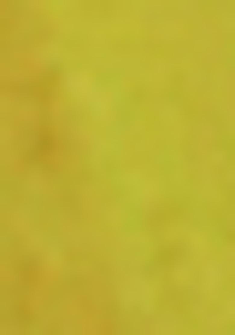 Yellow Woven Tussar Silk Saree Set