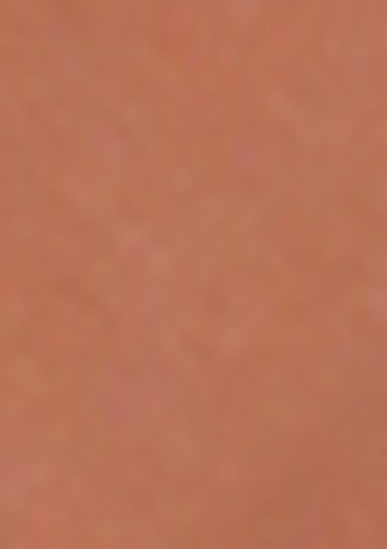 Peach Thread Embroidered Muga Cotton Saree Set