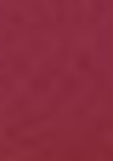 Maroon Digital Print Crepe Saree Set