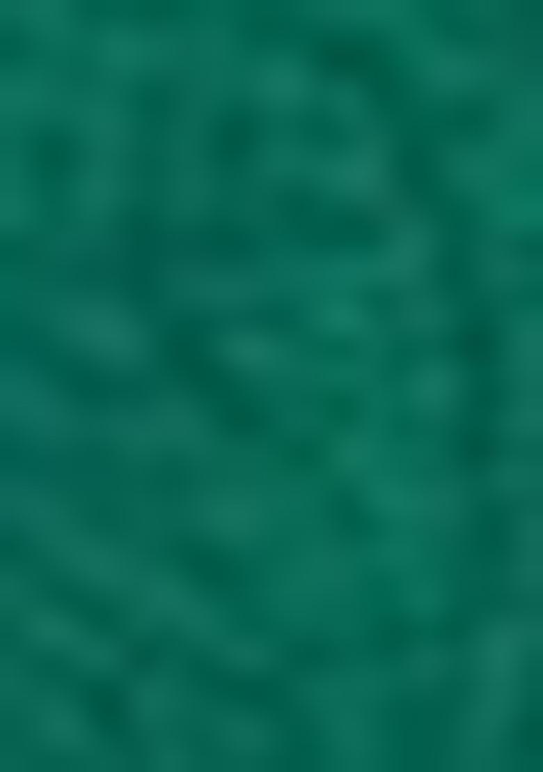 Teal Green Digital Print Crepe Saree Set