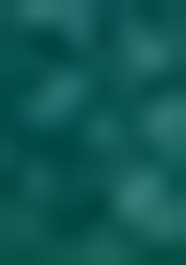 Green Digital Print Crepe Saree Set