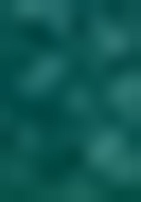 Green Digital Print Crepe Saree Set