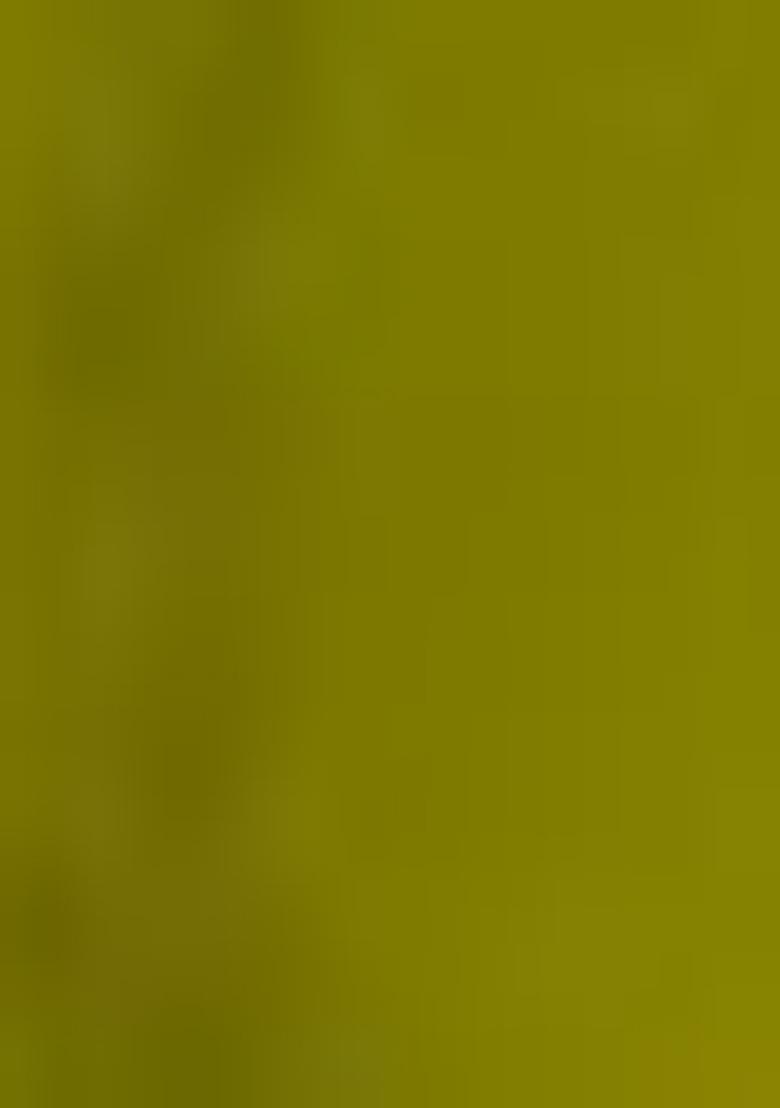 Mehendi Green Floral Print Crepe Saree Set