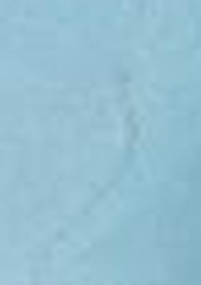 Sky Blue Embroidered Organza Saree Set