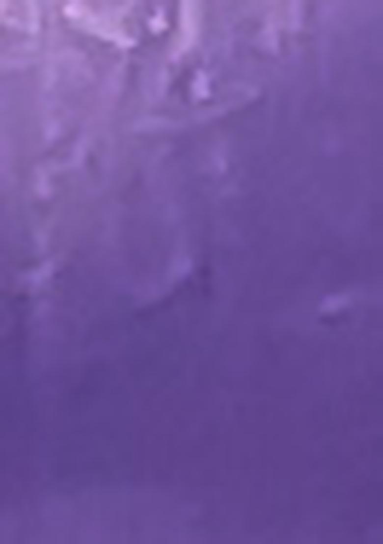 Lavender Zari Embroidered Silk Saree Set