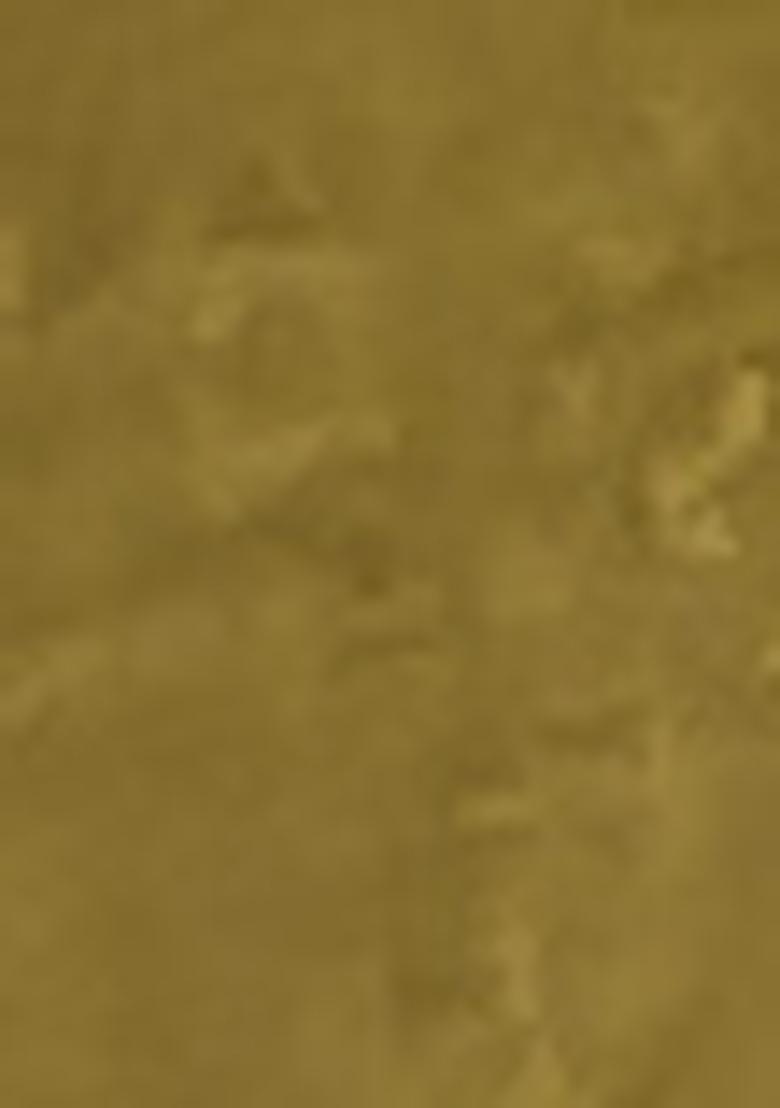 Olive Green Zari Embroidered Silk Saree Set