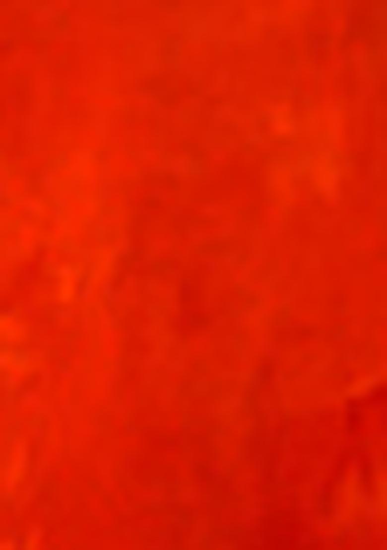 Orange Zari Embroidered Silk Saree Set