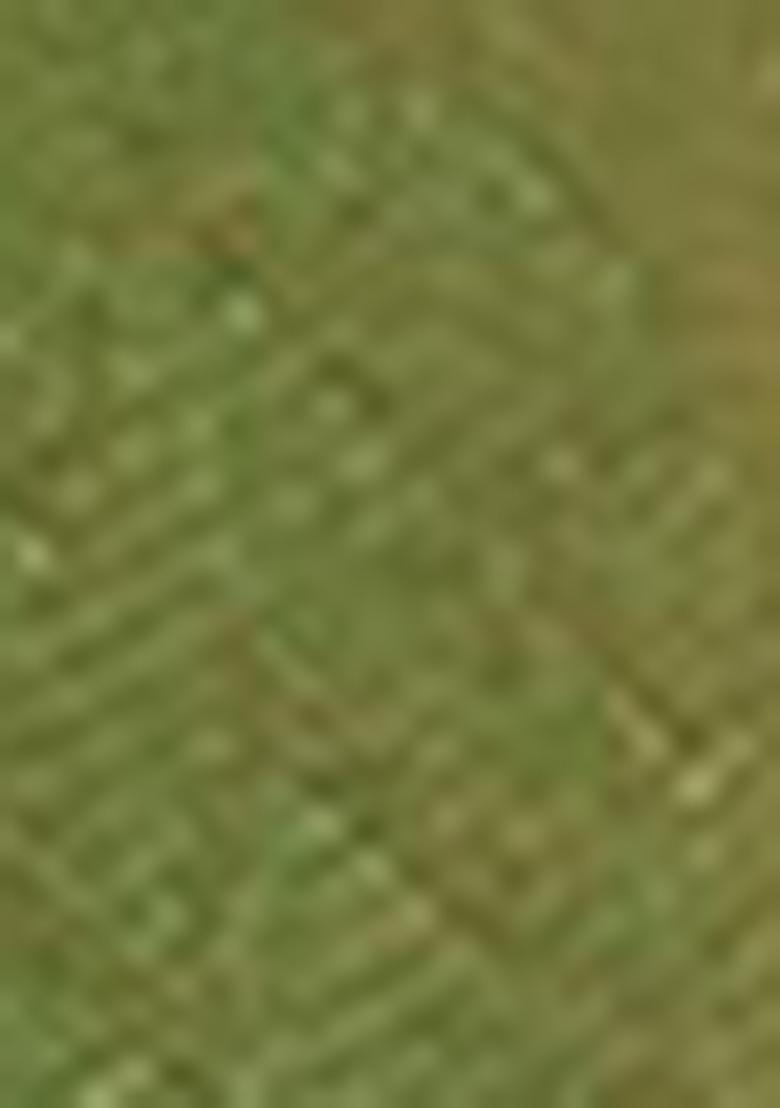 Green Zari Embroidered Silk Saree Set