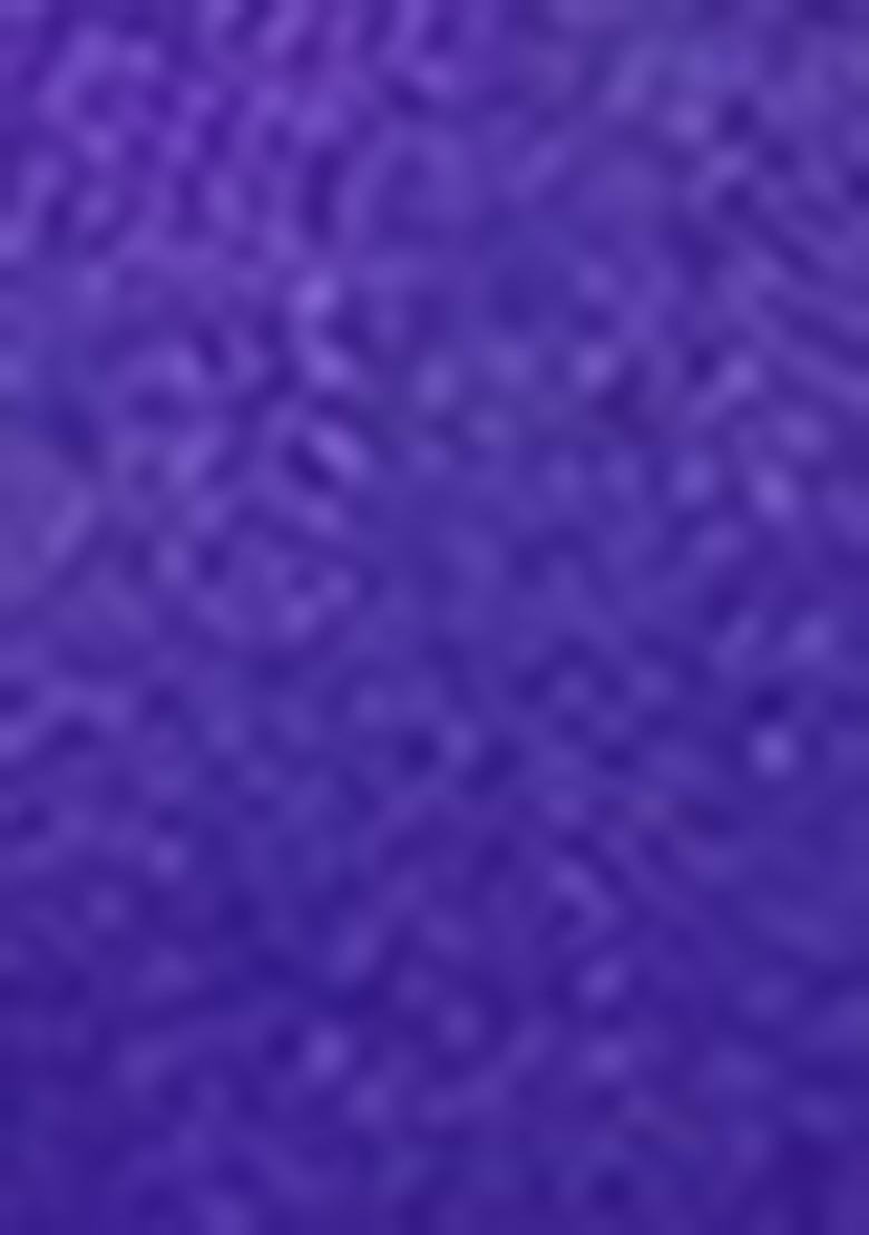 Lavender Zari Embroidered Silk Saree Set