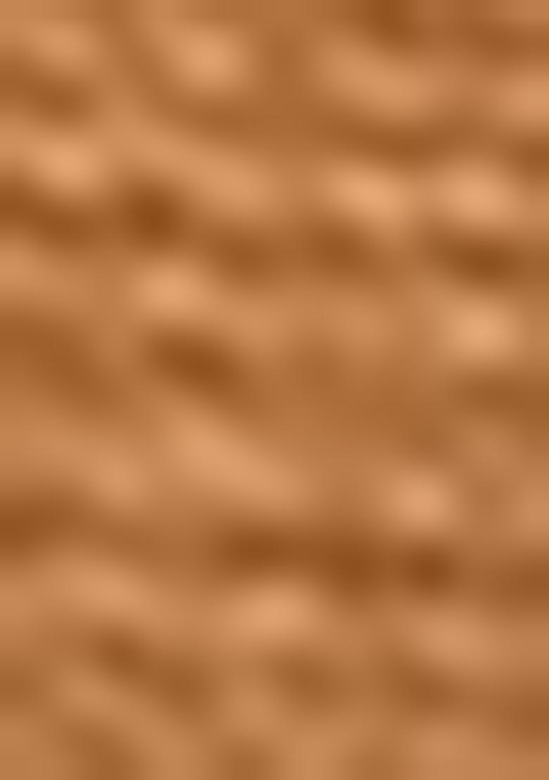 Yellow Zari Embroidered Silk Saree Set