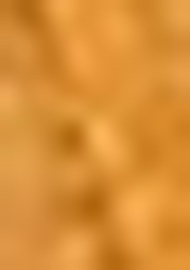 Mustard Zari Embroidered Silk Saree Set