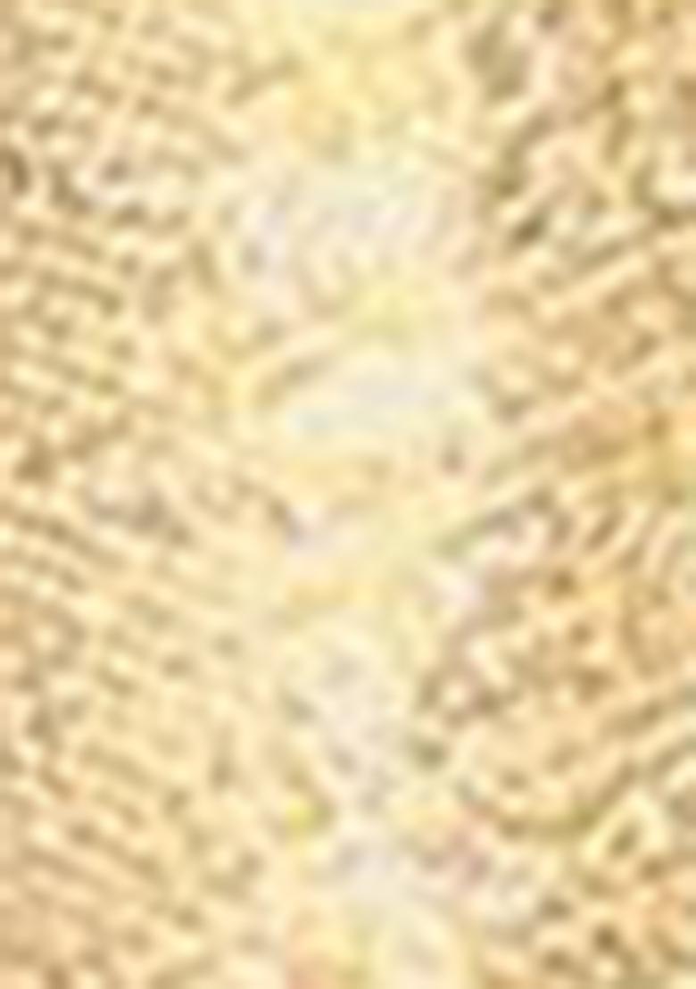 Brown Zari Embroidered Silk Saree Set