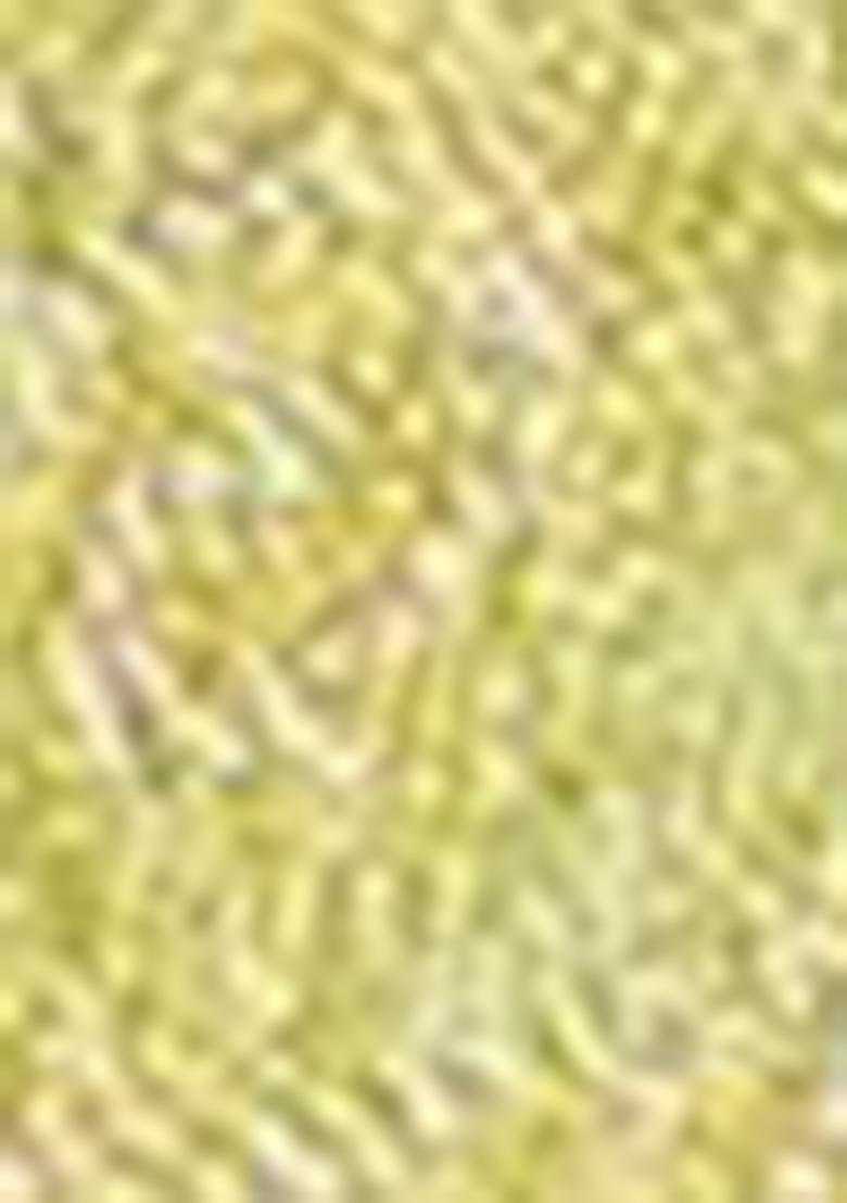 Olive Green Zari Embroidered Silk Saree Set