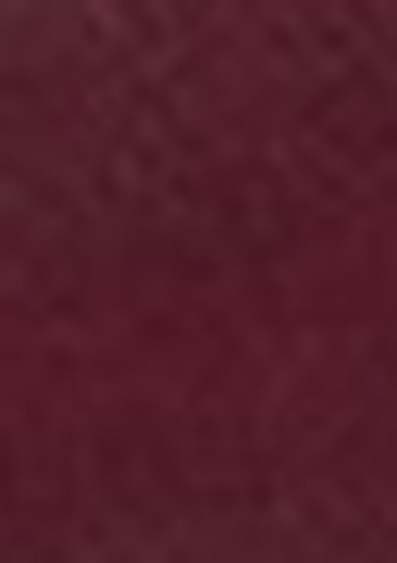 Brown Zari Embroidered Silk Saree Set