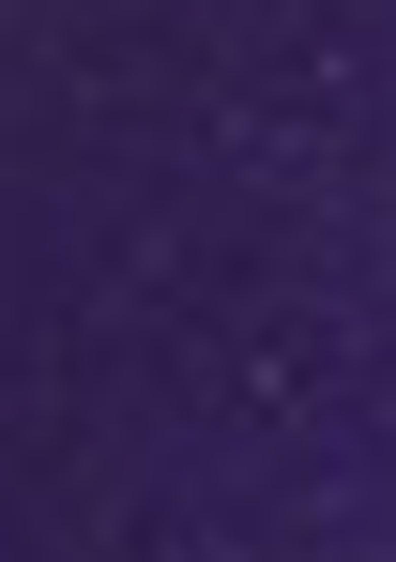 Violet Zari Embroidered Silk Saree Set