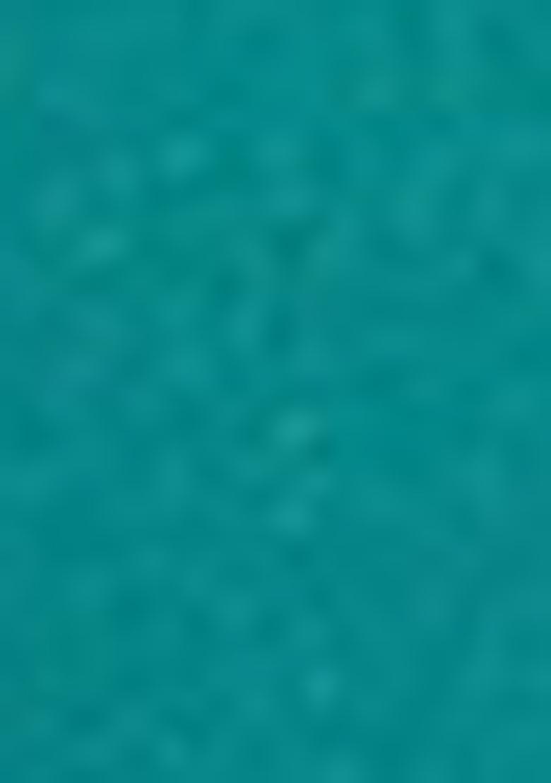 Green Zari Embroidered Silk Saree Set