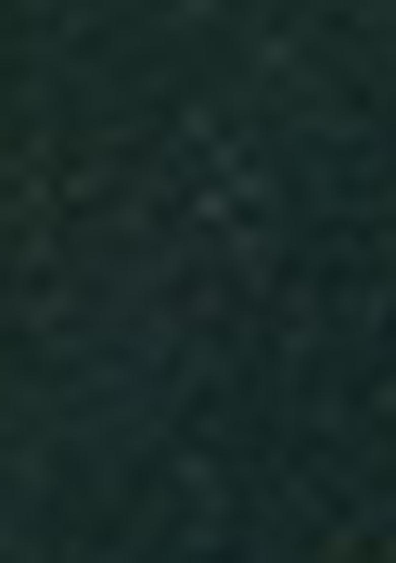 Green Zari Embroidered Silk Saree Set