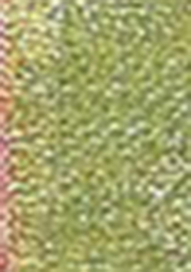 Green Zari Embroidered Silk Saree Set