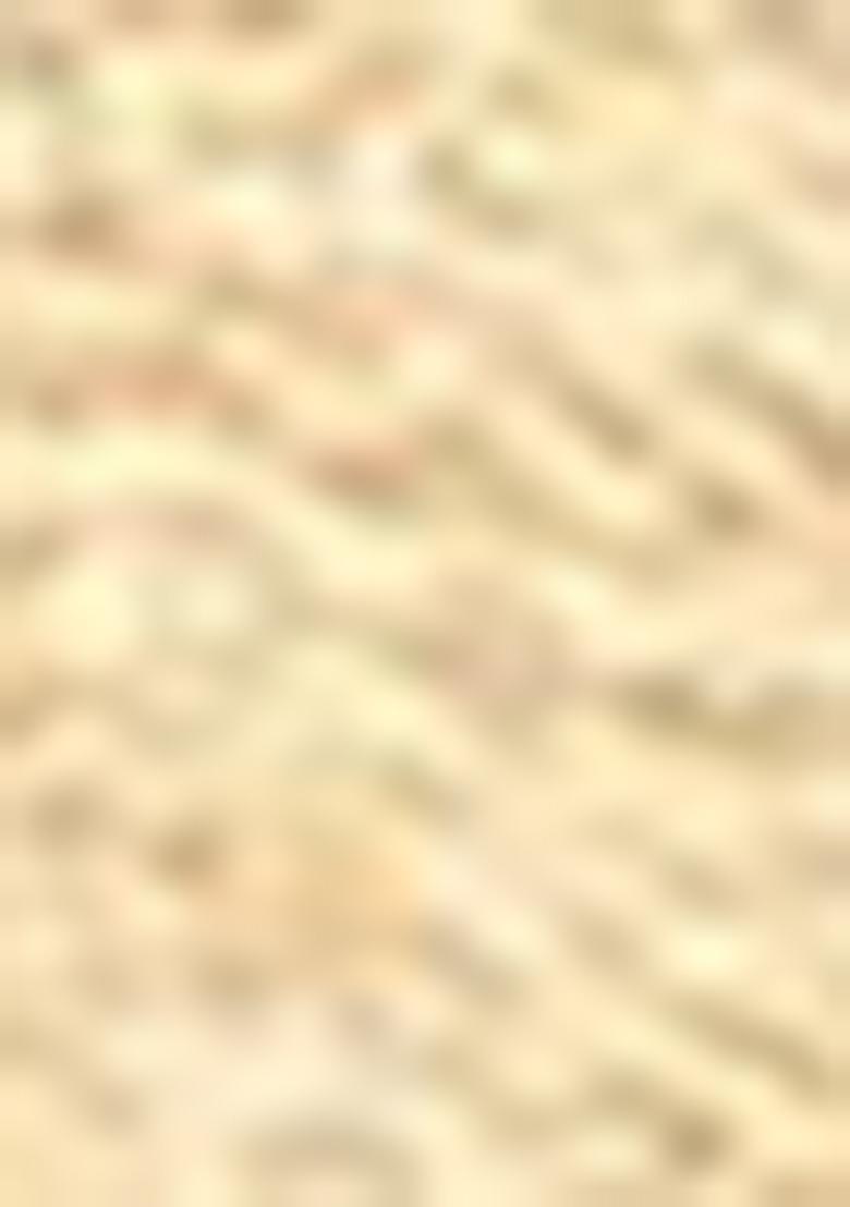 Beige Zari Embroidered Silk Saree Set