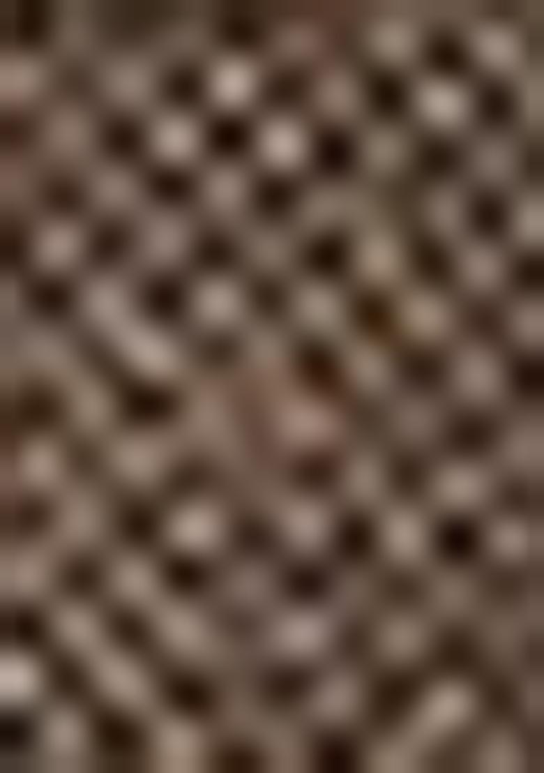 Grey Zari Embroidered Silk Saree Set