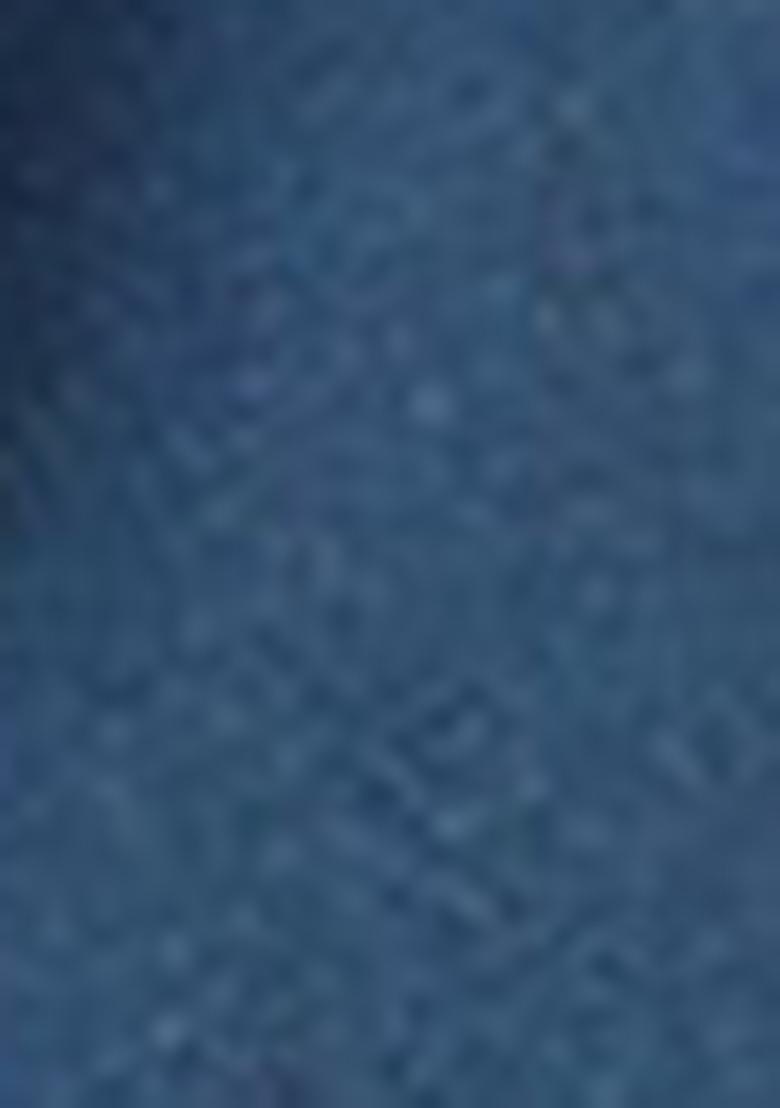 Blue Zari Embroidered Silk Saree Set