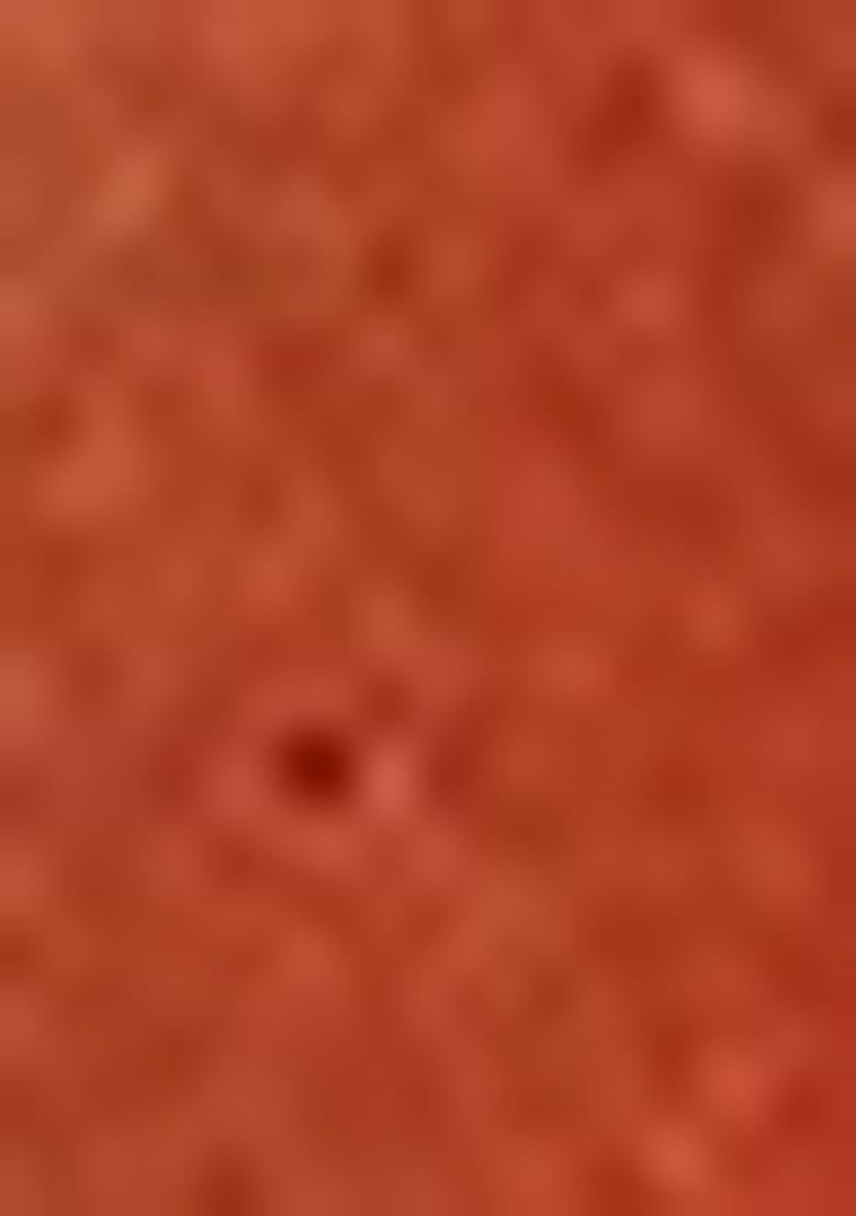 Peach Zari Embroidered Silk Saree Set