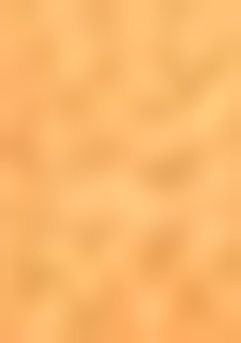 Mustard Zari Embroidered Silk Saree Set