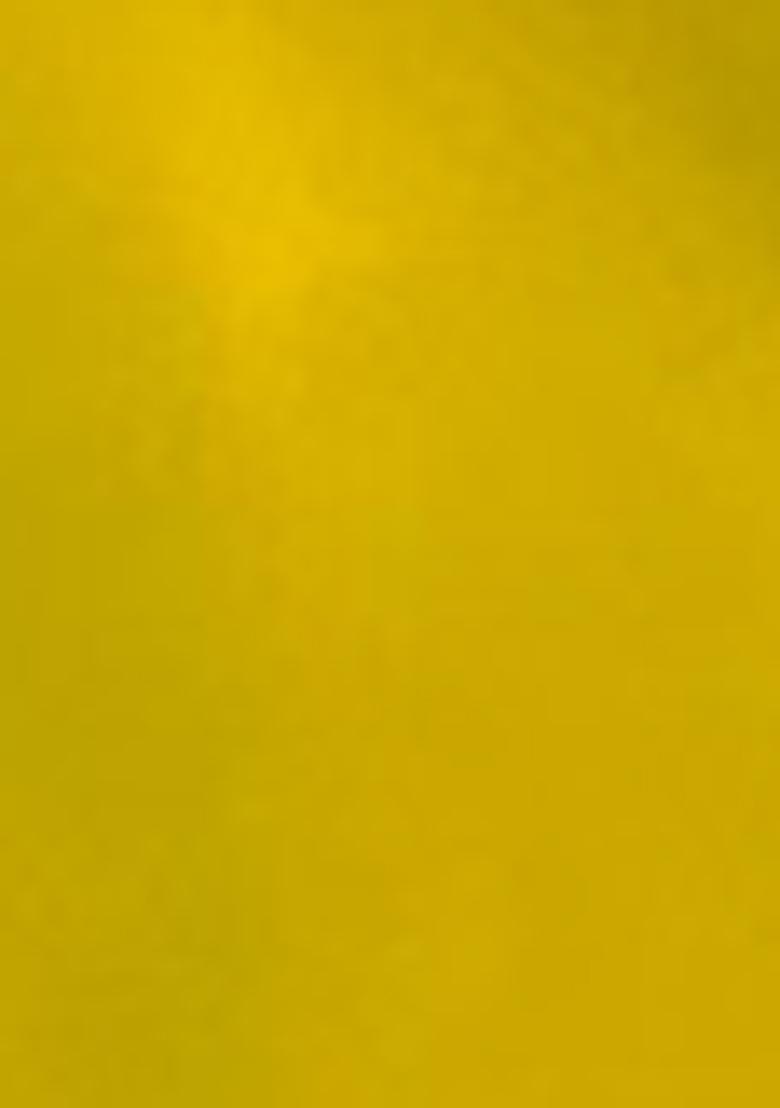 Olive Green Zari Embroidered Silk Saree Set