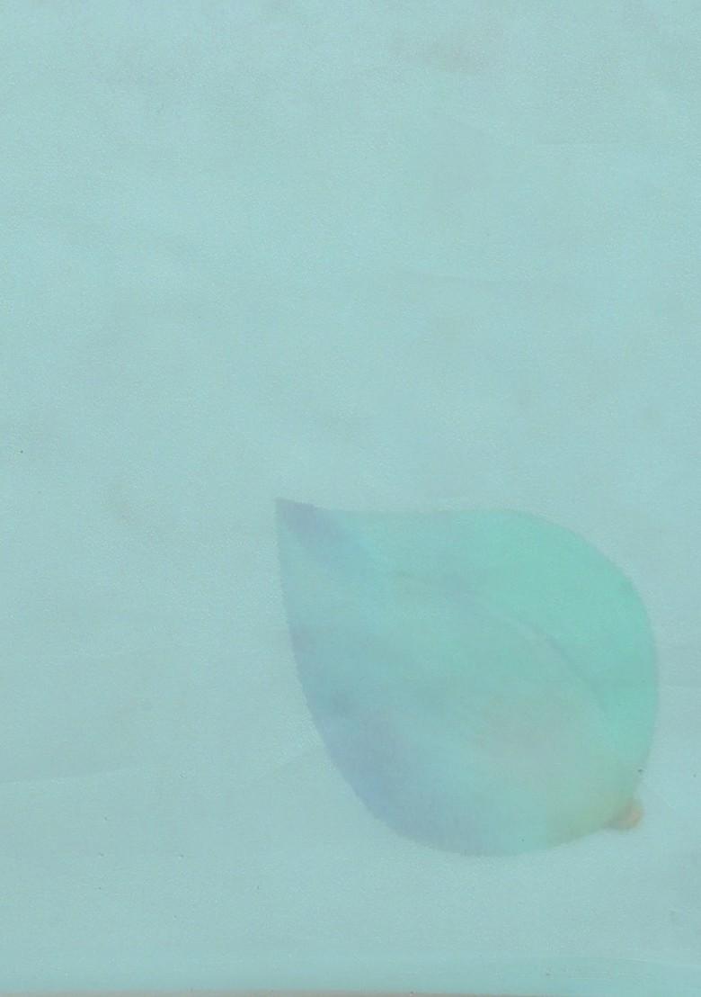 Blue Organza Poly Blend Sarees