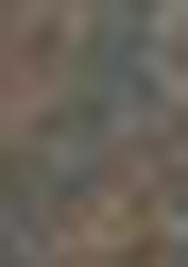 Blue Solid Cotton Saree