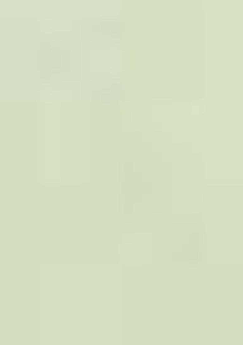 Light Green Zari Embroidered Banarasi Silk Saree Set