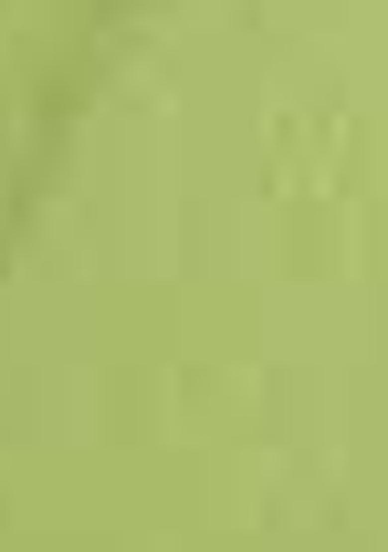 Pista Green Zari Work Banarasi Silk Saree Set