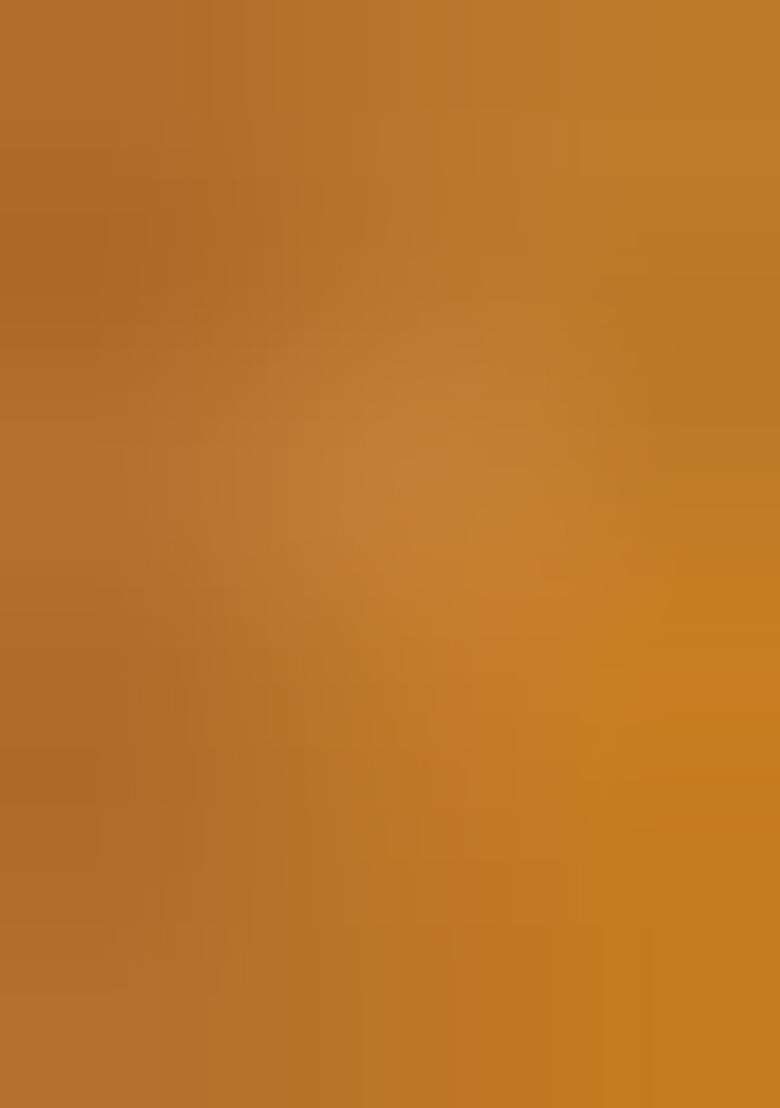 Multicolour Printed Nylon Saree Set