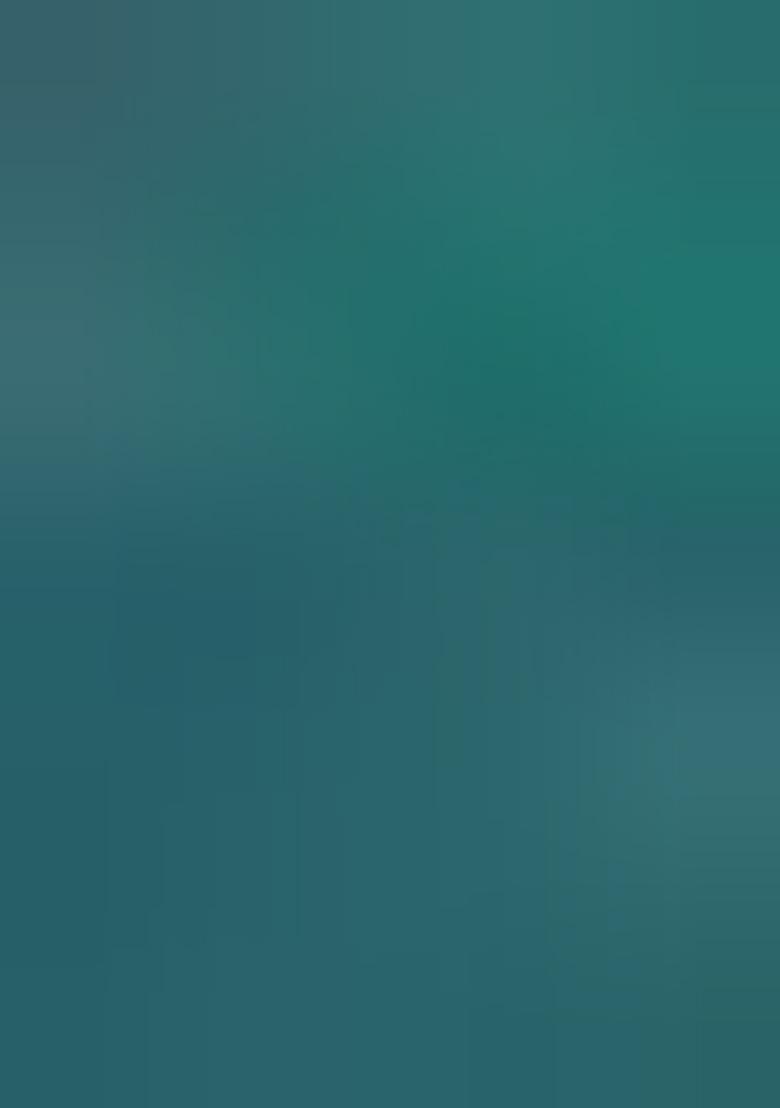 Multicolour Printed Nylon Saree Set