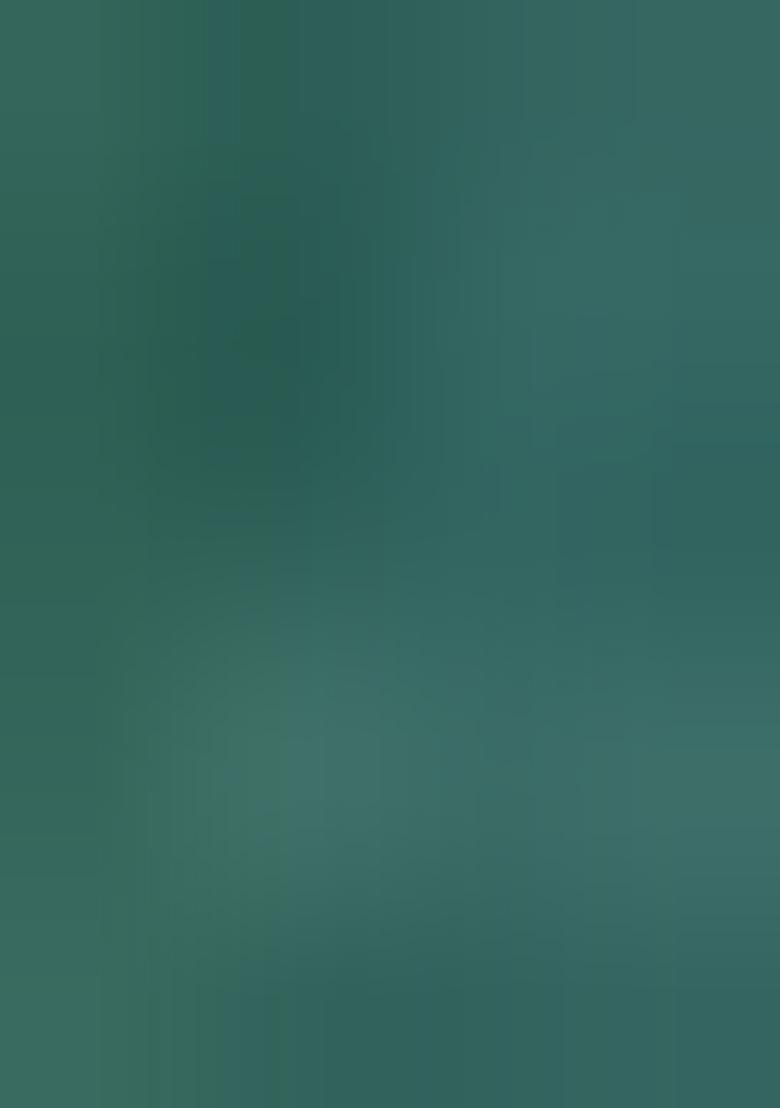 Multicolour Printed Nylon Saree Set