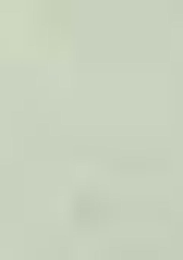 Light Green Printed Linen Saree Set