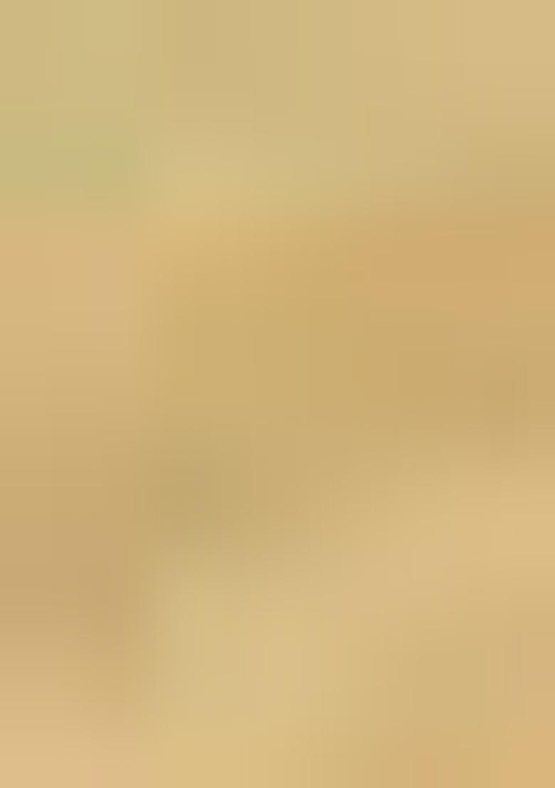 Multicolour Printed Linen Saree Set